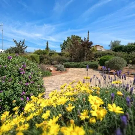 “enjoy The Holiday Of A Lifetime While Staying In This Villa” Calantha Villa Kouklia